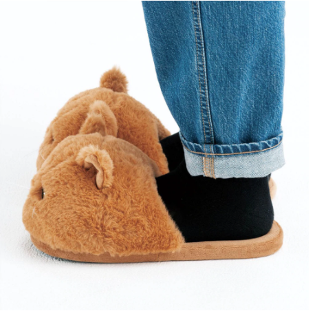 Image of Lazy Cat Slippers