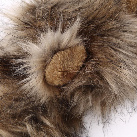 Image of Lion Wig, Accessories - catsbeststore