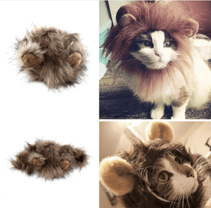 Lion Wig, Accessories - catsbeststore