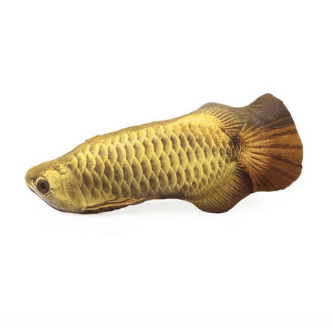 Image of Cat Nip Toy Fish, Accessories - catsbeststore