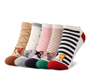 Classy Cat Socks, Clothing - catsbeststore