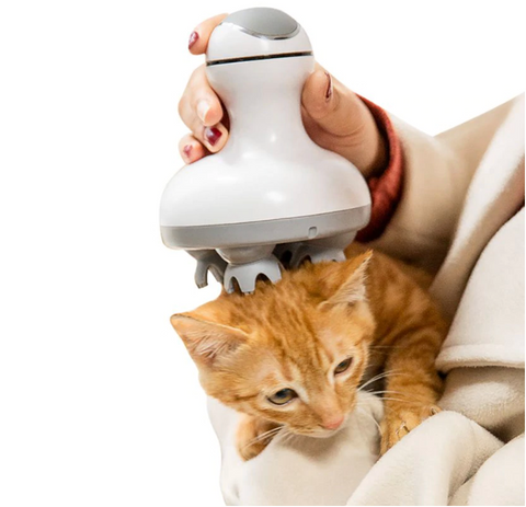 Image of Electric Cat Massager