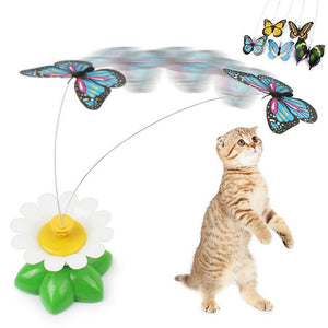 Butterfly Cat Toy, Accessories - catsbeststore